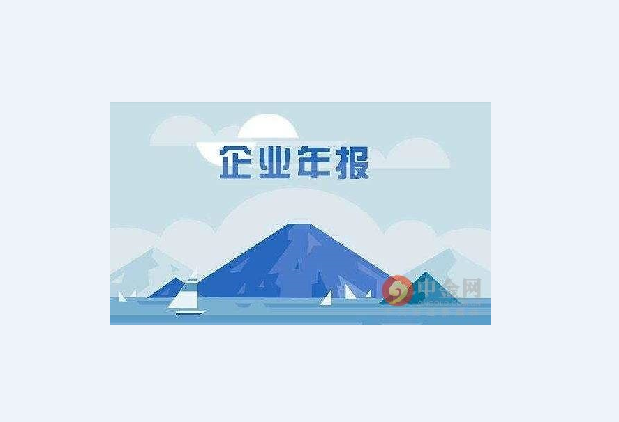 上市公司年報翻譯-認(rèn)準(zhǔn)專業(yè)杭州翻譯公司【以琳翻譯】